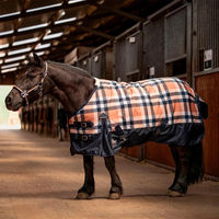 Produktbild von Harry's Horse Maverick Weidedecke für Pferde Braun 205 cm