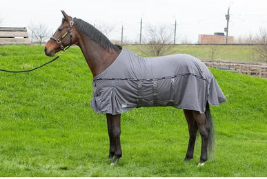 Harry's Horse Mesh Pro Belly Fliegendecke für Pferde in Grau – Bild 1 von 1