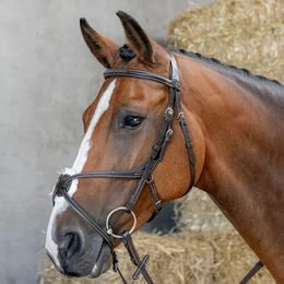 Produktbild von Harry's Horse Mexikanische Reittrense anatomisch gekreuztes Reithalfter aus Leder