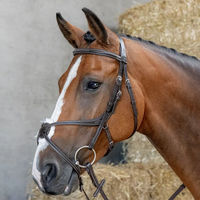 Produktbild von Harry's Horse Mexikanische Reittrense Anatomisch Gekreuztes Reithalfter aus Leder für Ponys