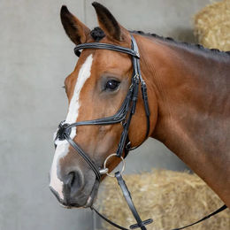 Produktbild von Harry's Horse Mexikanische Reittrense anatomisch gekreuztes Reithalfter aus Leder in Schwarz für Vollblut