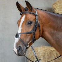 Produktbild von Harry's Horse Mexikanische Reittrense aus Leder in Schwarz anatomisch gekreuztes Reithalfter