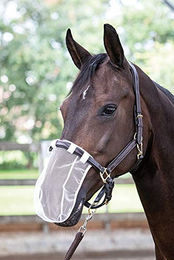Produktbild von Harry's Horse Nasenschutz für Pferde Pony Weiß Transparent 5er Pack