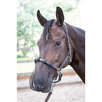 Produktbild von Harry's Horse Nasenschutz für Pferde Schwarz Full 5er Pack