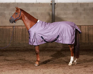 Harry's Horse Outdoor-Decke für Pferde Thor WI26 – Bild 1 von 1