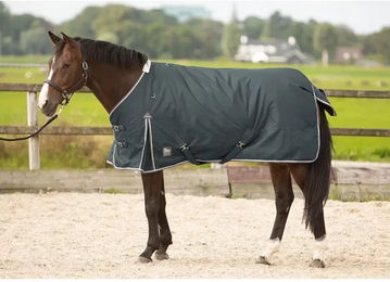 Harry's Horse Outdoor-Decke Thor 300 aus Polyester in Braun und Blau - 300 g – Bild 1 von 2