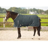 Produktbild von Harry's Horse Outdoor-Decke Thor 300 aus Polyester in Braun und Blau - 300 g
