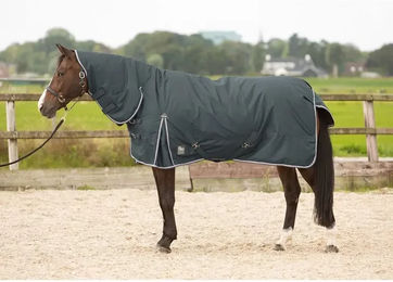Produktbild von Harry's Horse Outdoor-Decke Thor mit Halsteil in Grün aus Polyester 200 g - 200 g