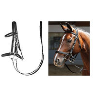 Produktbild von Harry's Horse Pferdehalfter aus Kunstleder in Schwarz Größe XL
