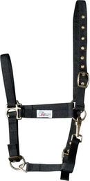Produktbild von Harry's Horse Pferdehalfter aus Kunststoff in Schwarz Größe Cob