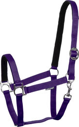 Produktbild von Harry's Horse Pferdehalfter mit Nylonfütterung in Lila für Vollblut