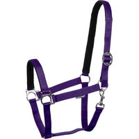Produktbild von Harry's Horse Pferdehalfter mit Nylonfütterung in Lila für Vollblut