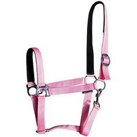 Produktbild von Harry's Horse Polsterhalfter aus Nylon für Pferde in Rosa Größe Cob