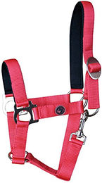 Produktbild von Harry's Horse Polsterhalfter aus Nylon für Pferde in Rot Größe L