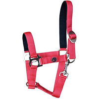 Produktbild von Harry's Horse Polsterhalfter für Pferde aus Nylon in Rot Größe XL