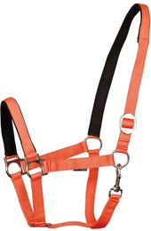 Harry's Horse Polsterhalfter für Pferde in Orange Größe L – Bild 1 von 2