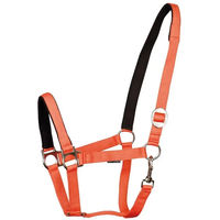Produktbild von Harry's Horse Polsterhalfter für Pferde in Orange Größe L