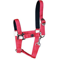 Produktbild von Harry's Horse Polsterhalfter für Ponys aus Nylon in Rot