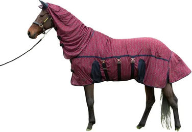 Produktbild von Harry's Horse Pony Decke aus Polyester in Schwarz