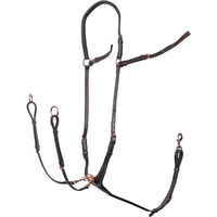 Produktbild von Harry's Horse Protech Jagdhalsband aus Leder für Pferde
