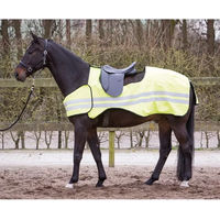 Produktbild von Harry's Horse Reflektierende Ausreitdecke für Pferde Gelb Größe S