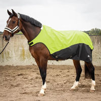 Produktbild von Harry's Horse Reflektierende Wasserdichte Pferdedecke 0g