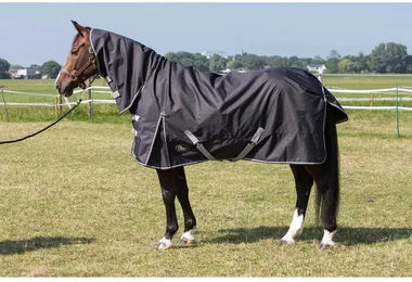 Harry's Horse Regendecke Thor für Pferde Schwarz 205cm - 205 cm – Bild 1 von 2