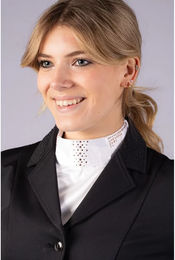 Produktbild von Harry's Horse Reitkrawatte Plastron für Damen in Silber und Rosa Galaxy