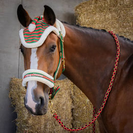 Produktbild von Harry's Horse Sattelzeugset mit Halfter, Longe und Kopfstück für Pferde in Rot und Bunt