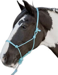 Produktbild von Harry's Horse Seilhalfter für Pferde in Blau oder Türkis