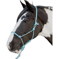 Produktbild von Harry's Horse Seilhalfter für Pferde in Blau und Türkis