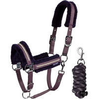 Produktbild von Harry's Horse Set aus Halfter und Longiergurt für Pferde