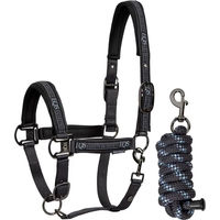 Produktbild von Harry's Horse Set aus Halfter und Longiergurt für Pferde