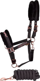 Produktbild von Harry's Horse Set aus Leder bestehend aus Halfter und Longiergurt in Schwarz für Pferde