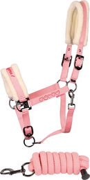 Produktbild von Harry's Horse Set aus Leder Halfter und Longiergurt für Pferde in Rosa