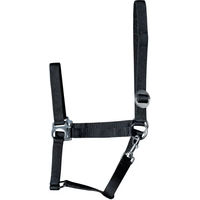 Produktbild von Harry's Horse Shetland Halfter Economy aus Nylon in Schwarz Größe M