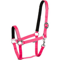 Produktbild von Harry's Horse Shetty Halfter mit Nylonfütterung in Rosa