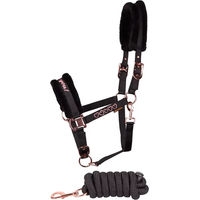 Produktbild von Harry's Horse Shetty Halfter und Longiergurt Set aus Leder in Schwarz