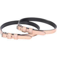 Produktbild von Harry's Horse Sporenriemen aus Leder in Bunt und Silber