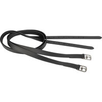 Produktbild von Harry's Horse Steigbügelriemen Easy Care Biothane Schwarz 155 cm