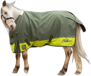 Produktbild von Harry's Horse STOUT Outdoor-Decke für Pferde in Grün aus Polyester