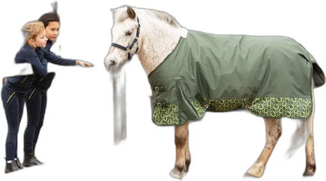 Produktbild von Harry's Horse STOUT! Wasserdichte Outdoor-Pferdedecke in Grün mit 200g Füllung