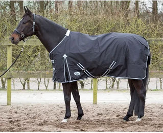 Harry's Horse Thor Outdoor-Pferdedecke mit Fleece-Futter Schwarz 165cm – Bild 1 von 2