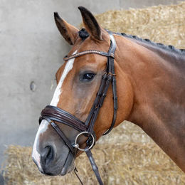 Produktbild von Harry's Horse Trense für Ponys aus Leder in Braun mit Copper-Elementen