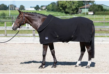 Produktbild von Harry's Horse Trocknende Fleecedecke für Pferde mit Rollkragen in Schwarz