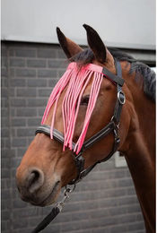 Produktbild von Harry's Horse Turnierpolo für Damen aus Satin