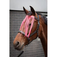 Produktbild von Harry's Horse Turnierpolo für Damen aus Satin