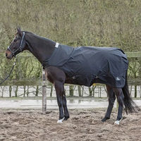 Produktbild von Harry's Horse Wasserdichte Outdoor-Walkerdecke für Pferde in Schwarz aus Polyester