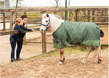 Harry's Horse Weidedecke Lime Grün 125 cm – Bild 1 von 1