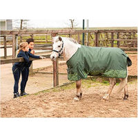 Produktbild von Harry's Horse Weidedecke Lime Grün 125 cm